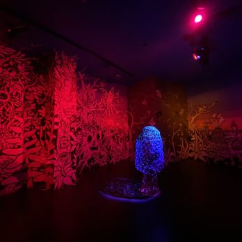 Meow Wolf - Venues & Event Spaces Near Me - Denver, Colorado