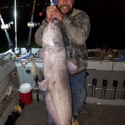 Capital Catfishing - 48 inches, 38 pounds