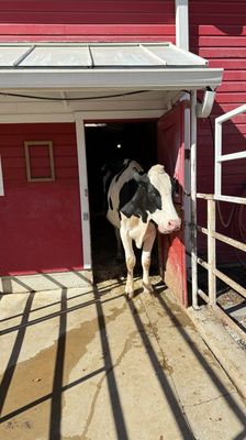 Purina Farms by null