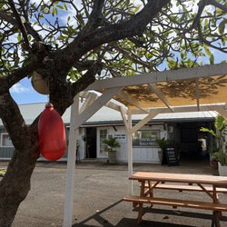 Aesthetics xo pua - Best way to start my happy Aloha Friday!