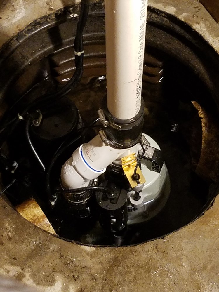 Slide of A Bee Septic