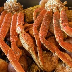 Family & Crab - Oooh my gosh!!