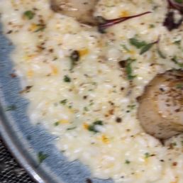 Scallops and risotto. Scallops and risotto.