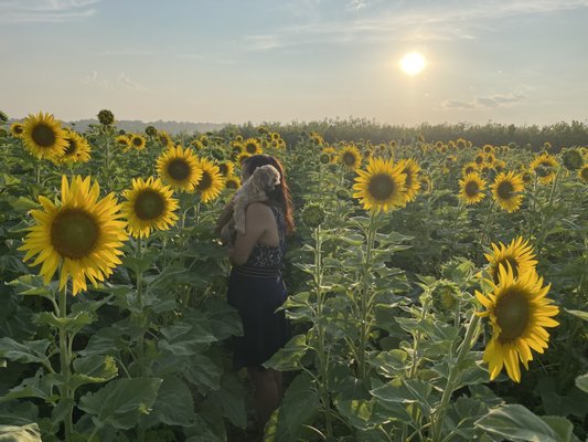 Columbia Bottom Conservation Area by null