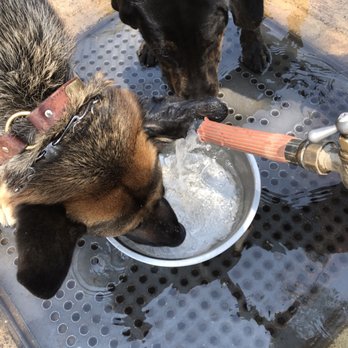 Recreation Dog Park - Water bowls for the dogs - Dog Parks Near Me - Long Beach, California Recreation Dog Park - Water bowls for the dogs - Dog Parks Near Me - Long Beach, California