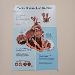 AdventHealth Medical Group Cardiology