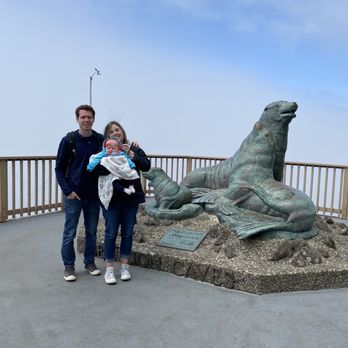 Sea Lion Caves - Active Life Near Me - Florence, Oregon Sea Lion Caves - Active Life Near Me - Florence, Oregon