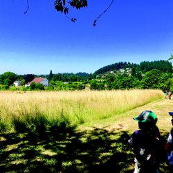 Luscher Farm