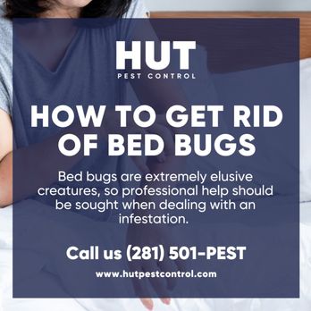 Hut Pest Control - HUT Pest Control offers treatment for Bed Bugs - Pest Control Near Me - Cypress, Texas