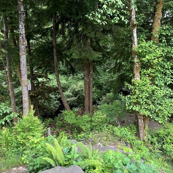 Mossquatch Resort - View from Cabin 3 back porch - Vacation Rentals Near Me - Forks, Washington