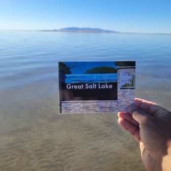 Antelope Island State Park - millions of dead flies on the water surface all around my calves. - Hiking Near Me - Syracuse, Utah Antelope Island State Park - millions of dead flies on the water surface all around my calves. - Hiking Near Me - Syracuse, Utah