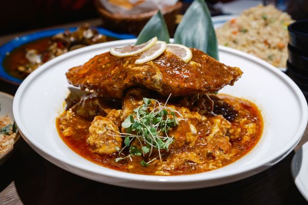 我是一只小辣蟹I'm a little hot crab by null