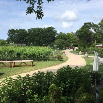 Mattebella Vineyards - Vineyard/ garden - Wineries Near Me - Southold, New York Mattebella Vineyards - Vineyard/ garden - Wineries Near Me - Southold, New York