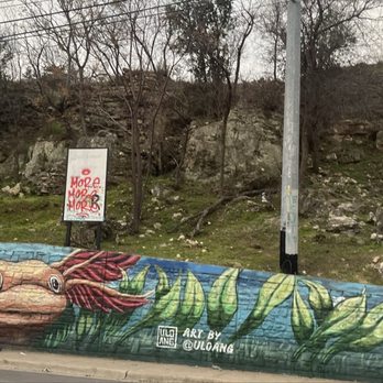 Chuy's - Across the street - Tex-Mex Near Me - Austin, Texas