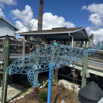Manatee Viewing Center - Zoos Near Me - Apollo Beach, Florida
