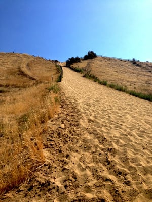 Camel’s Back Park by null