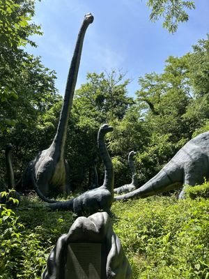Dinosaur World by null