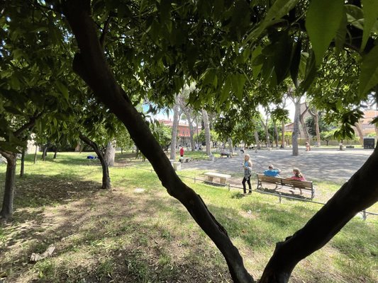 Giardino degli Aranci by null