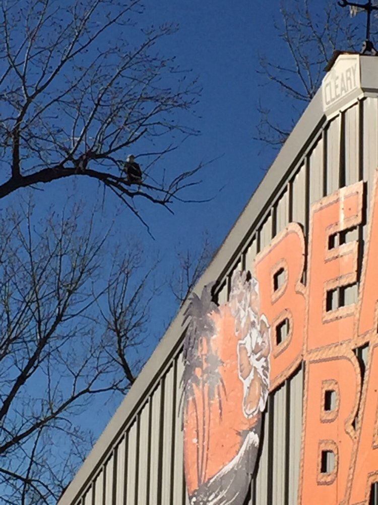 PATTERSON HARBOR MARINA Updated August 2024 20 Photos 12121 Road