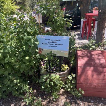 Sweet Tahoe Time - Desserts for dogs! - Ice Cream & Frozen Yogurt Near Me - Kings Beach, California