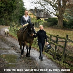 Horse Holiday Farm - Ann Marie Nohl, from the book of hobbies titled Out of Your Tree 2 by Priory Studios, Dublin, for The Irish Cancer Society.