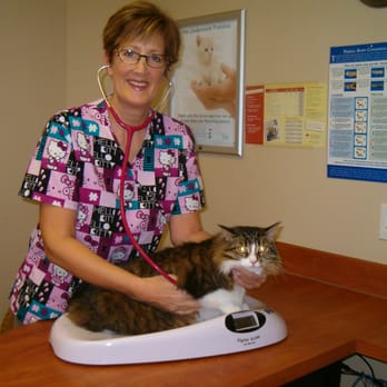 Guildcrest Cat Hospital - Veterinarians Near Me - Scarborough, Ontario Guildcrest Cat Hospital - Veterinarians Near Me - Scarborough, Ontario