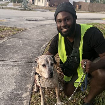 Abundant Legacies - Successful pet delivery! - Couriers & Delivery Services Near Me Abundant Legacies - Successful pet delivery! - Couriers & Delivery Services Near Me