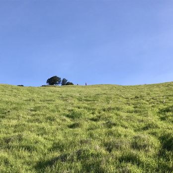 Matt Davis-Steep Ravine Loop - Green pastures. Agree with "Hayao Miyakazi"estque feeling - Hiking Near Me - Stinson Beach, California Matt Davis-Steep Ravine Loop - Green pastures. Agree with "Hayao Miyakazi"estque feeling - Hiking Near Me - Stinson Beach, California