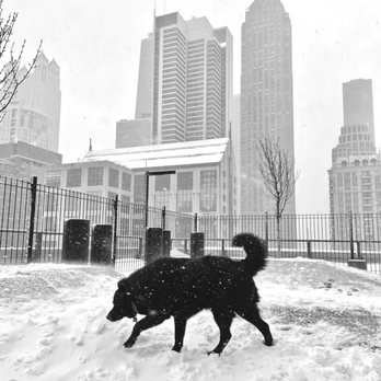 One Chicago - Apartments Near Me - Chicago, Illinois One Chicago - Apartments Near Me - Chicago, Illinois