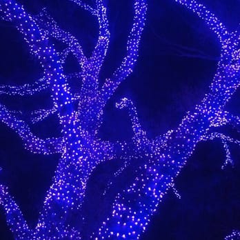 Zoolights - Zoos Near Me - Phoenix, Arizona Zoolights - Zoos Near Me - Phoenix, Arizona