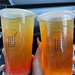 Mango & Passionfruit Flavored Teas