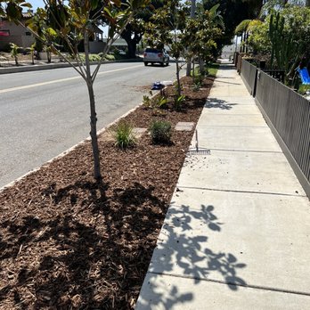 Mateo Diego - Mulched. - Tree Services Near Me - Escondido, California Mateo Diego - Mulched. - Tree Services Near Me - Escondido, California