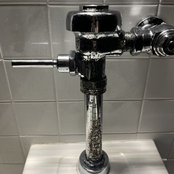 Mountain View Diner - I don't know what this is but it was fuzzy and gross - Diners Near Me - Frederick, Maryland