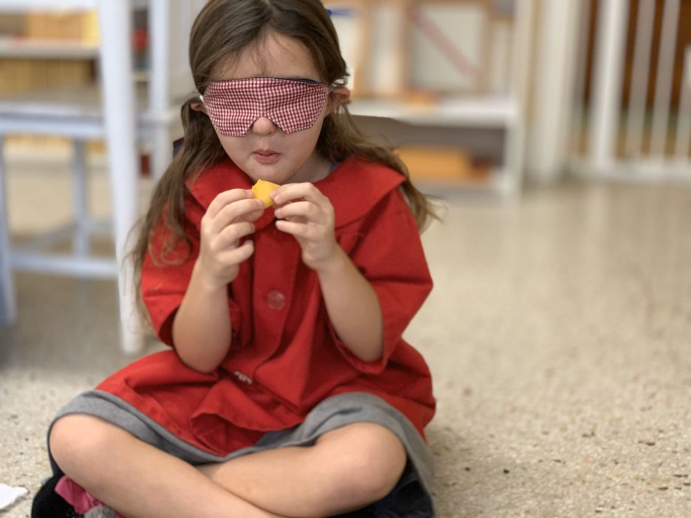 Steeple on the Beach Montessori - childcare center in Deerfield Beach, FL