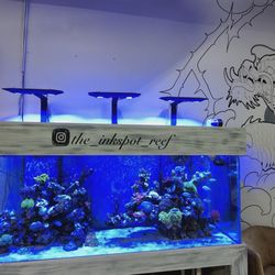 Bay Area Inkspot