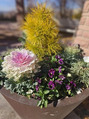 Red Butte Garden and Arboretum by null