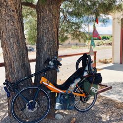 Hatch Public Library - Great shady tree in the parking lot.