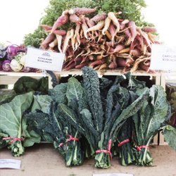 Mesa Farmers Market and Flea