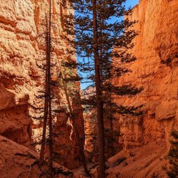 Figure 8 Combination - Navajo Loop Trail | Instagram: @telephonesmoothie