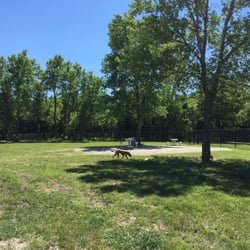Dog Park in Andover Central Park - BEAUTIFUL park with nice landscape. Large boulders, large trees, picnic area and trees with some nice shade in areas.