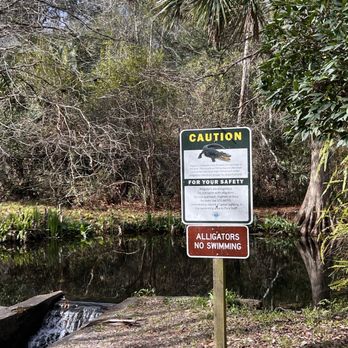Ravine Gardens State Park - Parks Near Me - Palatka, Florida