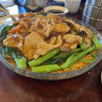 Real Wok - Pan fried noodles with up charge greens, making it the most expensive mediocre pan friend noodles I've ever had. - Dim Sum Near Me - Lake Worth, Florida