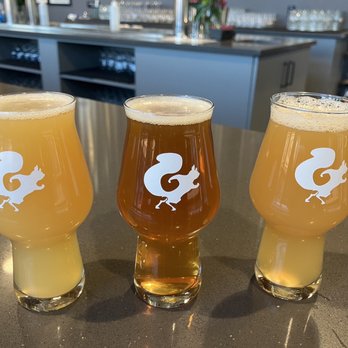Mighty Squirrel Brewing - Cloud Candy IPA, Johnny Hammertime (Triple New England IPA) and Field to Pint (Pale Ale) - Breweries Near Me - Waltham, Massachusetts