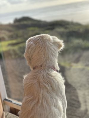 Hallmark Resort Newport by null