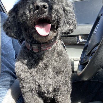 PawSpa Pet Grooming - Pet Groomers Near Me - Antioch, California PawSpa Pet Grooming - Pet Groomers Near Me - Antioch, California