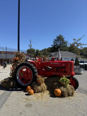 Great Smoky Mountains Railroad by null