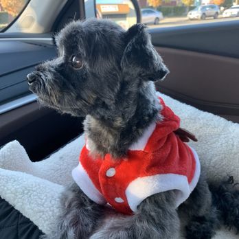Perfect Pet Salon - Pet Groomers Near Me - Concord, California Perfect Pet Salon - Pet Groomers Near Me - Concord, California