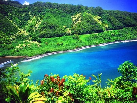 The Road to Hana Tour - The Road to Hana is a fun filled day of driving through, and playing in, the tropical rainforest. Along the way we are treated to amazing vistas of the jungle and ocean. There are waterfalls to view, or even swim in, caves to explore, black sand beaches, arboretums and several cute little roadside stands to get treats. Because our tours are completely private and customizable, you get to choose where we stop and play, and what you'd rather pass on. It's your day, have it your way! Tour starts at 7 or 8 am and ends at 4 or 5 pm and costs $700 for the first two people and an additional $100 for each person after that. The Road to Hana Tour - The Road to Hana is a fun filled day of driving through, and playing in, the tropical rainforest. Along the way we are treated to amazing vistas of the jungle and ocean. There are waterfalls to view, or even swim in, caves to explore, black sand beaches, arboretums and several cute little roadside stands to get treats. Because our tours are completely private and customizable, you get to choose where we stop and play, and what you'd rather pass on. It's your day, have it your way! Tour starts at 7 or 8 am and ends at 4 or 5 pm and costs $700 for the first two people and an additional $100 for each person after that.