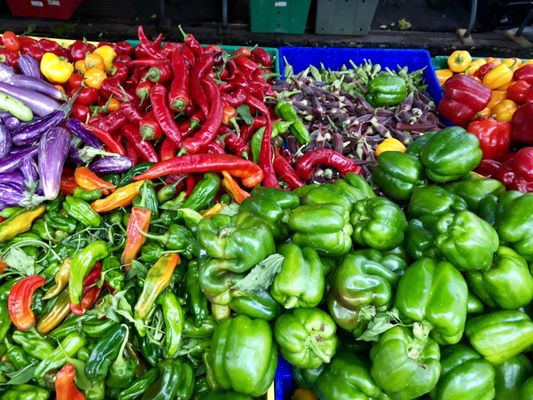 Tompkins Square Park Greenmarket by null