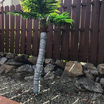 Chapala Grill 3 - Mexican Near Me - Jefferson, New Jersey